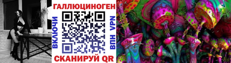 продажа наркотиков  Звенигово  Галлюциногенные грибы Magic Shrooms 